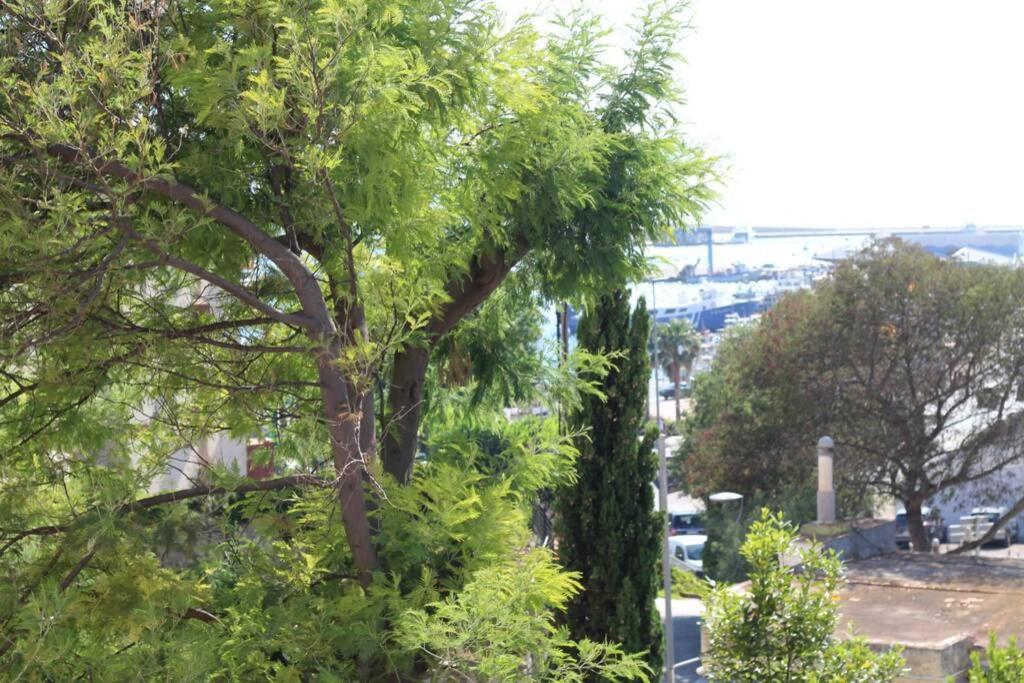 Apartamento Junto al MAR en Rosas, Puig Rom NUEVO, WIFI, tranquilidad Exterior foto